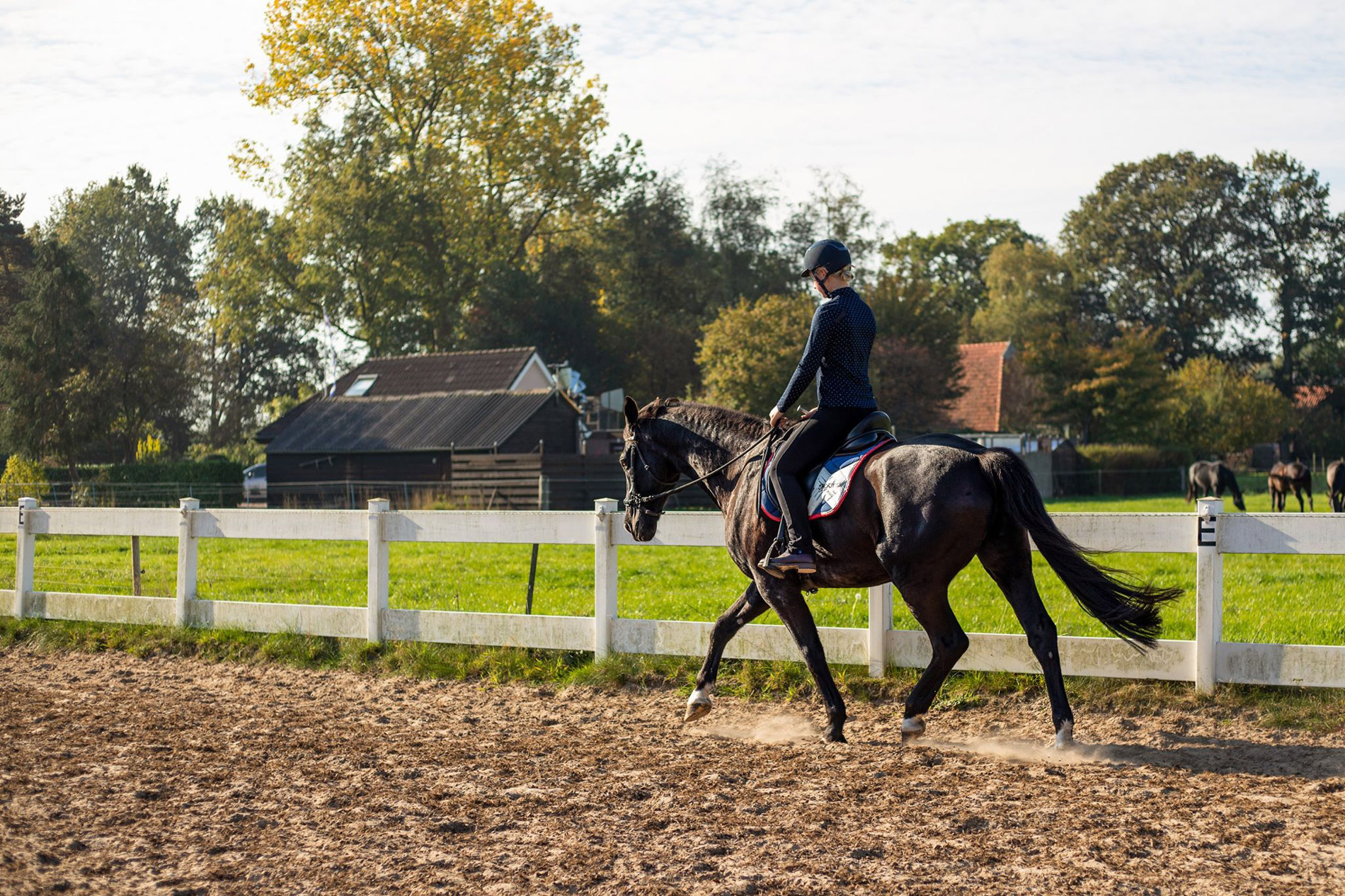 Schedule - Michelle Young Horsemanship